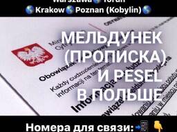 Замена прав/ прописка/ песель / перевод / переклад/ pesel
