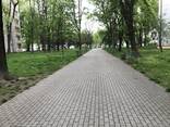 Przytulny apartament na doby, 2 osobne pokoje, 4 osoby | Уютная 2-к. квартира посуточно - фото 12