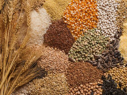 Pszenica, pellet, len, śruta i inne towary