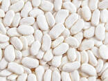 Quality 3D beans from Kyrgyzstan - photo 1