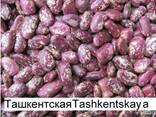 Quality 3D beans from Kyrgyzstan - photo 7