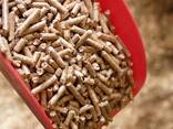 Wysokiej jakości palniki na biomasę Pellet drzewny - zdjęcie 2