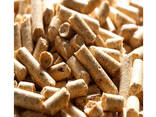 Wysokiej jakości palniki na biomasę Pellet drzewny - zdjęcie 3