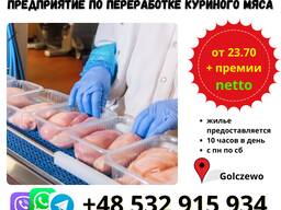 Работа