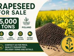 Rapeseed for sale - 5 000 tons