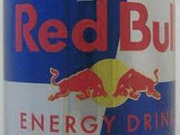 Red bull energy drink in stock