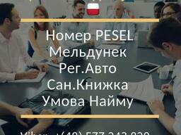 Рег. Авто, PESEL, Прописка, Сан. Книжка, Умова Найму