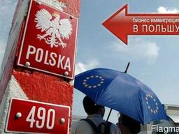 Регистрация, продажа, фирмы