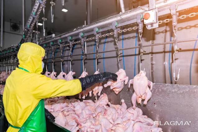 Різноробочі