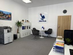 Rozliczenie podatków | PIT-11 | PIT-36 | PIT-37 | PIT-38 | PIT-39 | BIURO RACHUNKOWE