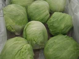 Salad iceberg