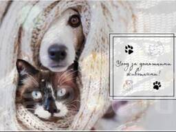 From 96 zl. Сare and massage for animals during your business trip