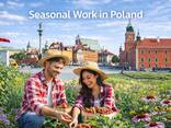 Seasonal Work in Poland | Up to 270 Days - zdjęcie 1