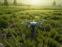 Семена многолетних кормовых трав