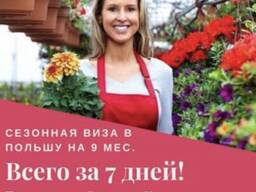 Сезонное Приглашение на 9 месяцев Перекрывает коридоры