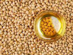 Soybean oil/ Olej sojowy