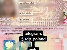 Получить справку студента в Польше / Статус студента / Справка студента