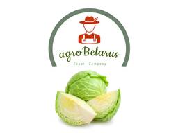 Sprzedam białą kapustę / Belarus