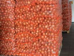 Sprzedam cebulę żółtą Продам желтый лук