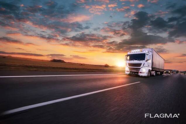 Sprzedaż międzynarodowej firmy transportowej