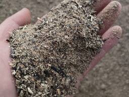 Śruta Słonecznikowa od 39 % Białko, luz, Min 22t, wagon, cena z dostawą