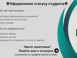 Статус студента в Польщі - фото 1