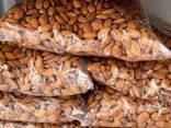 Dried Almond Nuts - zdjęcie 2