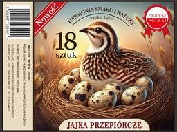 Świeże Jajka przepiórcze