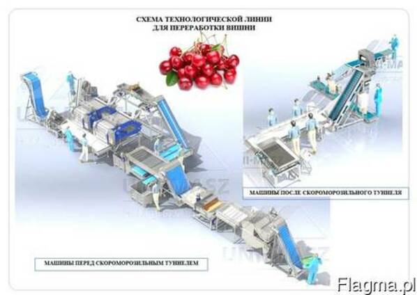 Технологическая линия для переработки вишни