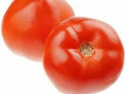 Томаты Помидоры Узбекистан Ломия 1955