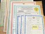 Транспортная фирма в Польше. Сопровождение бизнеса. Опыт. Варшава. Не посредник. - фото 2