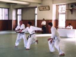 Тренування з Айкідо Йошінкан/Реншінкай у Варшаві