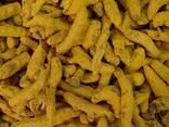 Turmeric from Vietnam - zdjęcie 2
