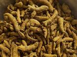 Turmeric from Vietnam - zdjęcie 3