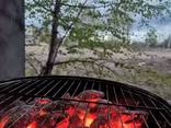 Уголь для мангала - фото 3