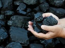 Уголь (Узбекистан) , подбор поставщика / доставка. Węgiel / Kohle / Coal