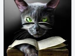 Украино-русскоязычный бухгалтер