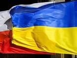 Профессиональный переводчик с 10-летним опытом: Польский - Украинский/Русский - фото 3