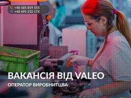 Valeo працівник виробництва, pracownik produkcji