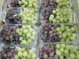 Grapes