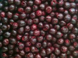 Вишня замороженная оптом от 20 т