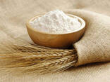 Wheat | Dumpling | Pasta flour - фото 1