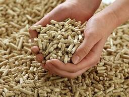 Wood pellets Enplus A1