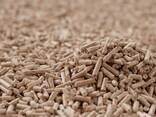 Wood pellets Enplus A1 - zdjęcie 1