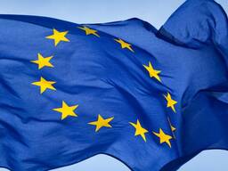 Agencja Pracy szuka firmy do współpracy