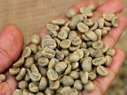 Wysokiej jakości zielone ziarna kawy Arabica i Robusta