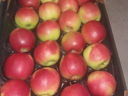 Яблоки экспорт