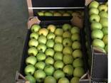 Яблоки из Польши - фото 1