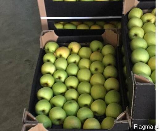 Яблоки из Польши