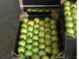 Яблоки из Польши